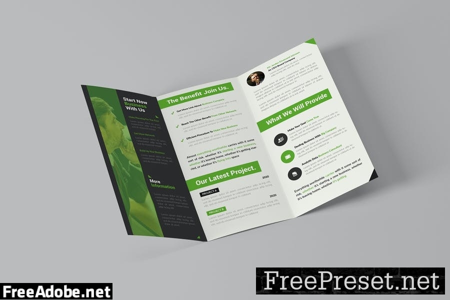 Business Project | Trifold Brochure