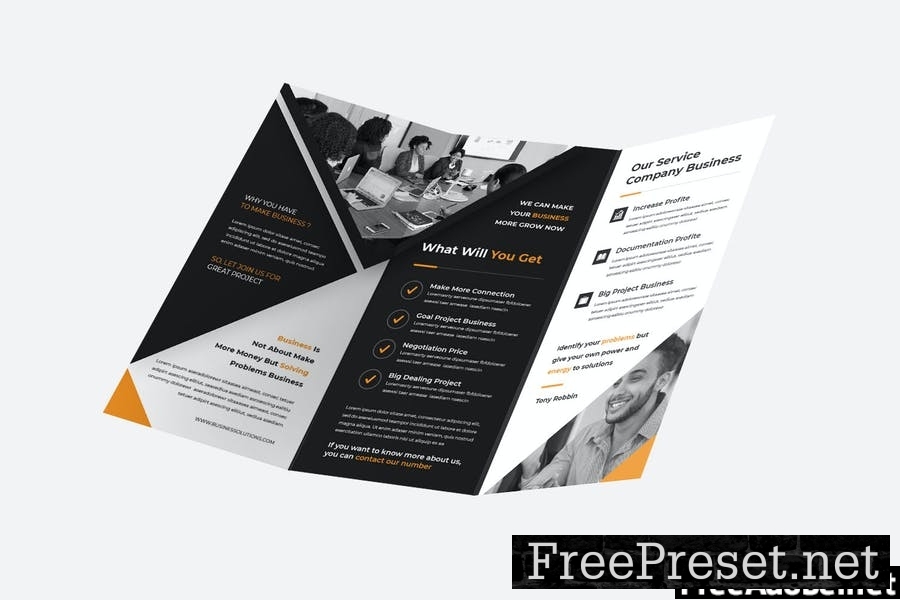 Business SolutionTrifold Brochure