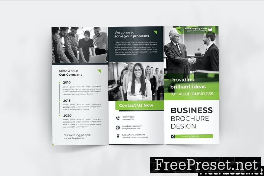 Business Trifold Brochure