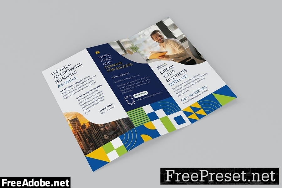 Business Trifold Brochure