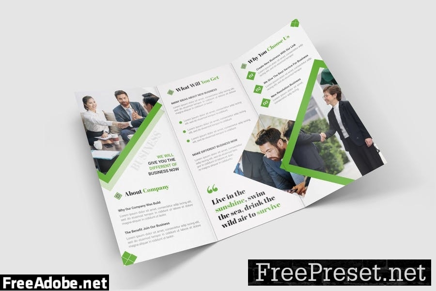 Business Work Trifold Brochure