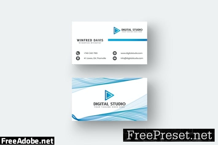 Bussiness Blue Card Name Horizontal and Vertical TNXSGEH