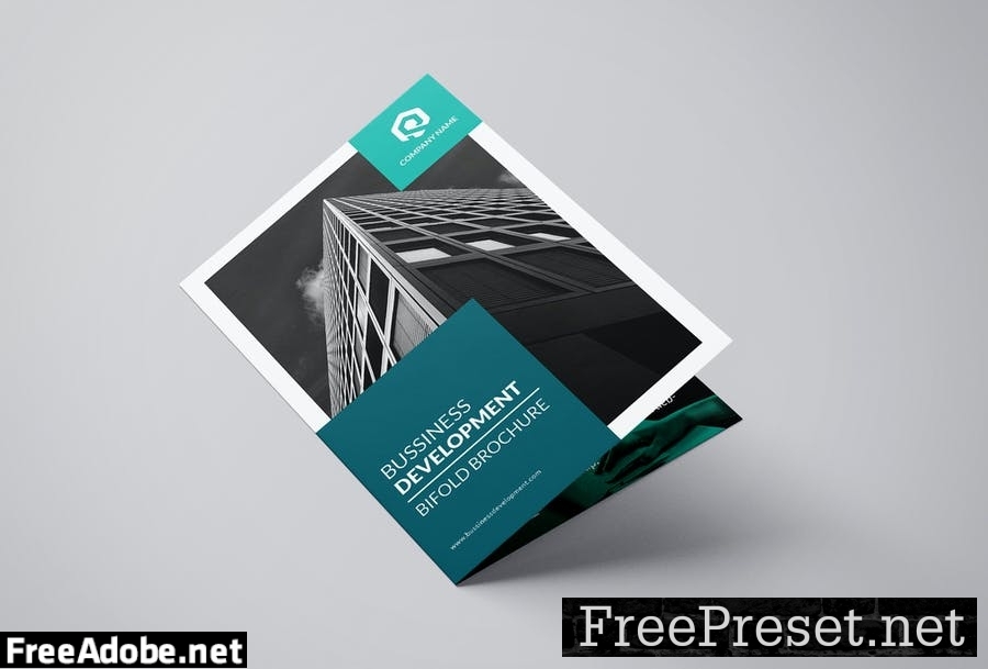 Bussiness Corporate Bifold Brochure UFPLYA