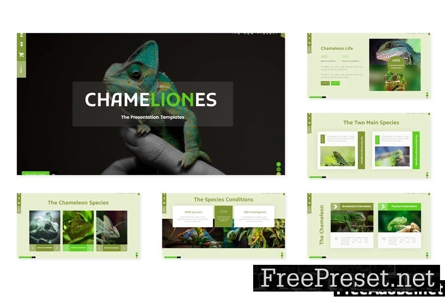 Chameliones - Powerpoint Template YM2R4BE