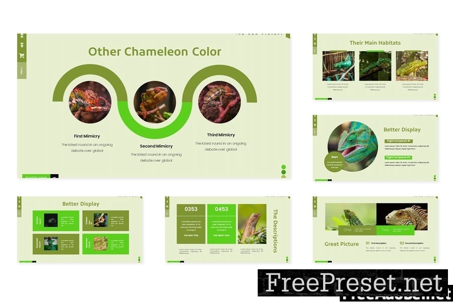 Chameliones - Powerpoint Template YM2R4BE