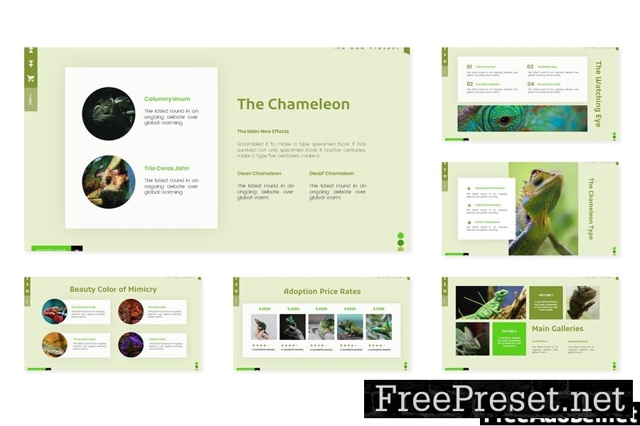 Chameliones - Powerpoint Template YM2R4BE