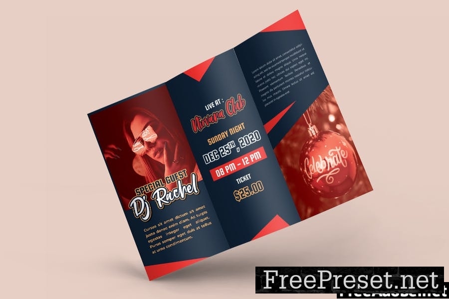 Christmas Night Party Trifold Brochure