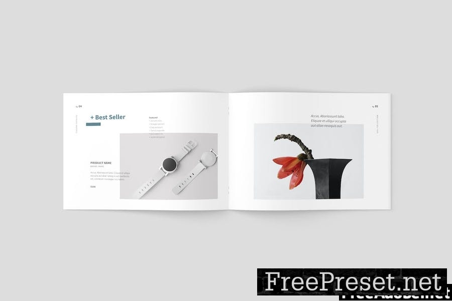 Clean Product Brochure/Catalog