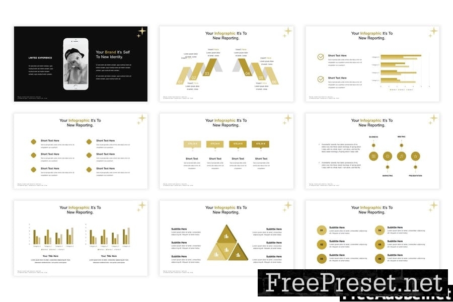 Coldiace Presentation Template