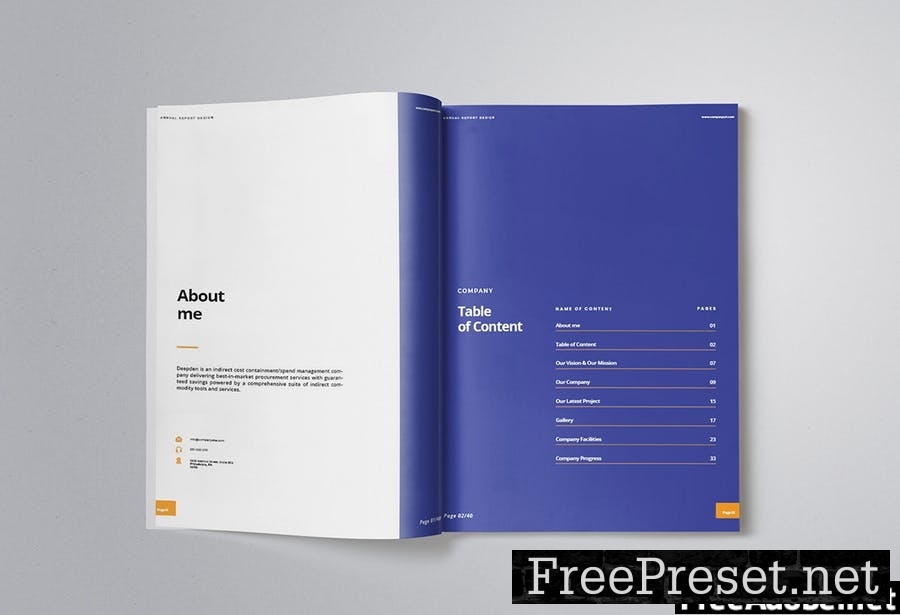 Company Annual Report Template