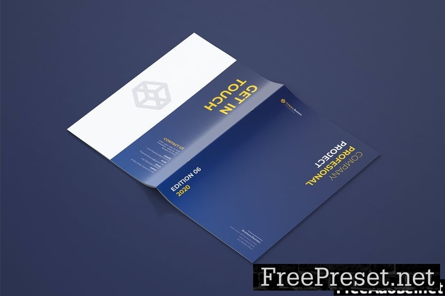 Company Profes - Brochure Template