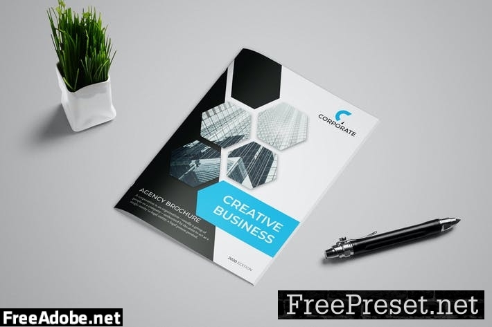 Corporate Business Brochure 12 pages RPX38SZ