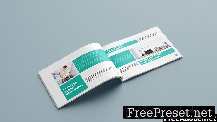 Counter Business Brochure - Landscape