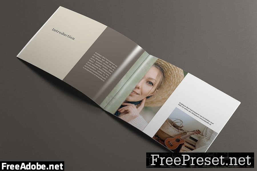 Desago Publisher Brochure Template