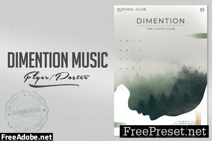 Dimention Music Flyer Poster 2X64S4