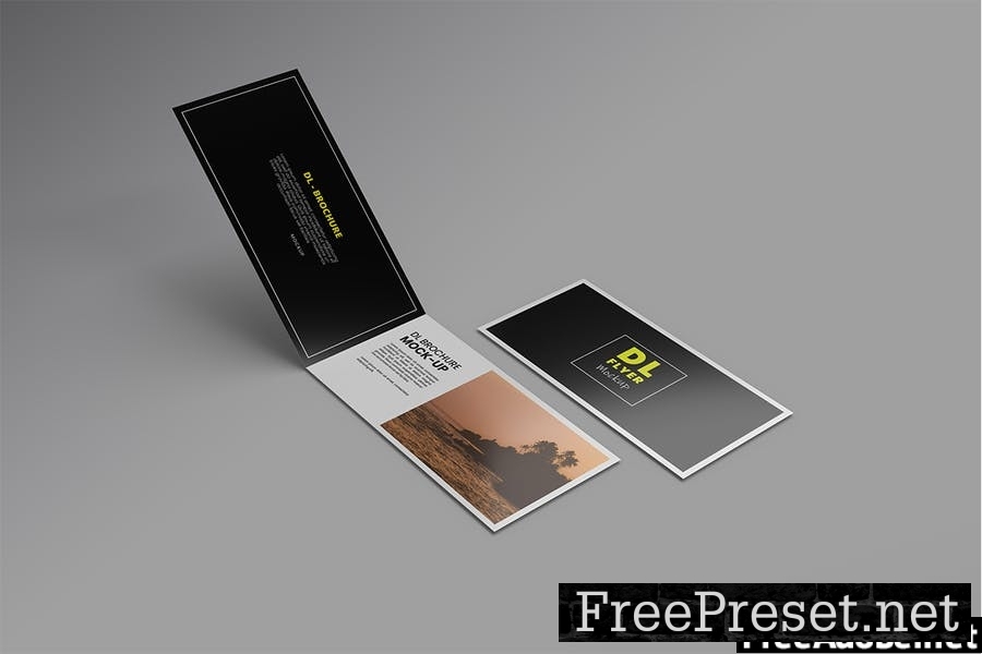 DL Brochure & Flyer Mockup