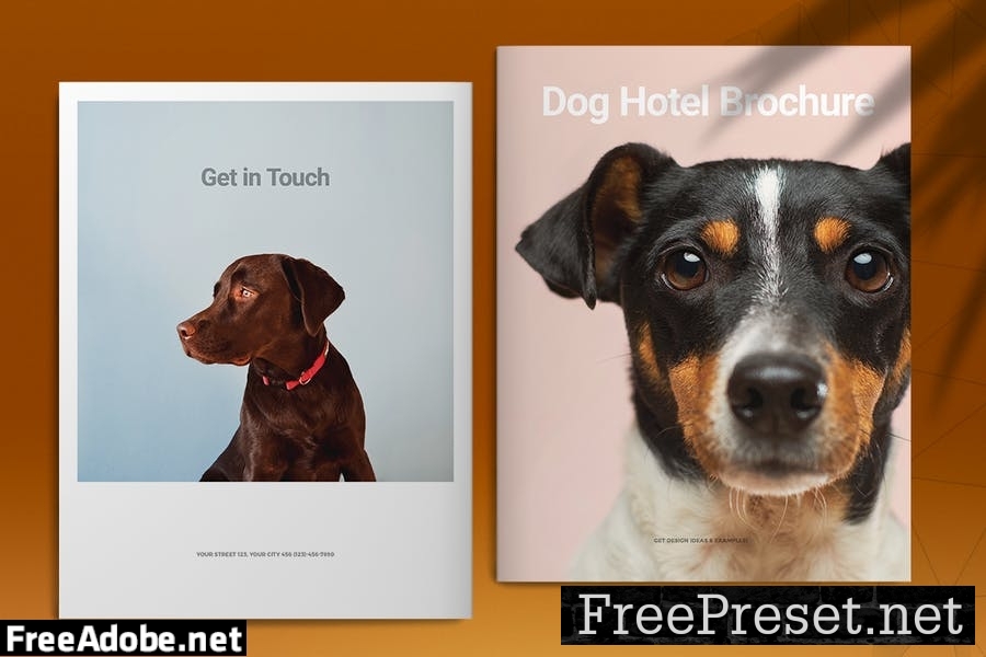 Dog Hotel Brochure Template