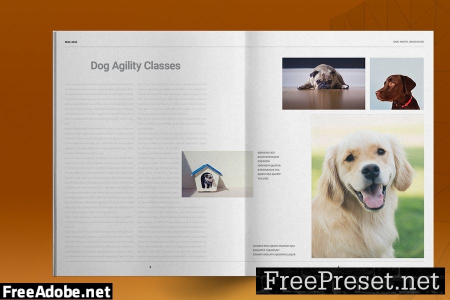 Dog Hotel Brochure Template