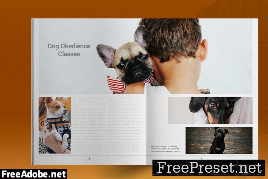 Dog Hotel Brochure Template