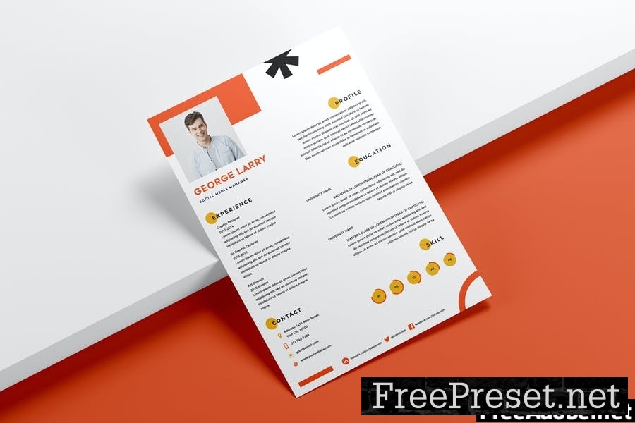 Elegant CV Resume Vol. 06