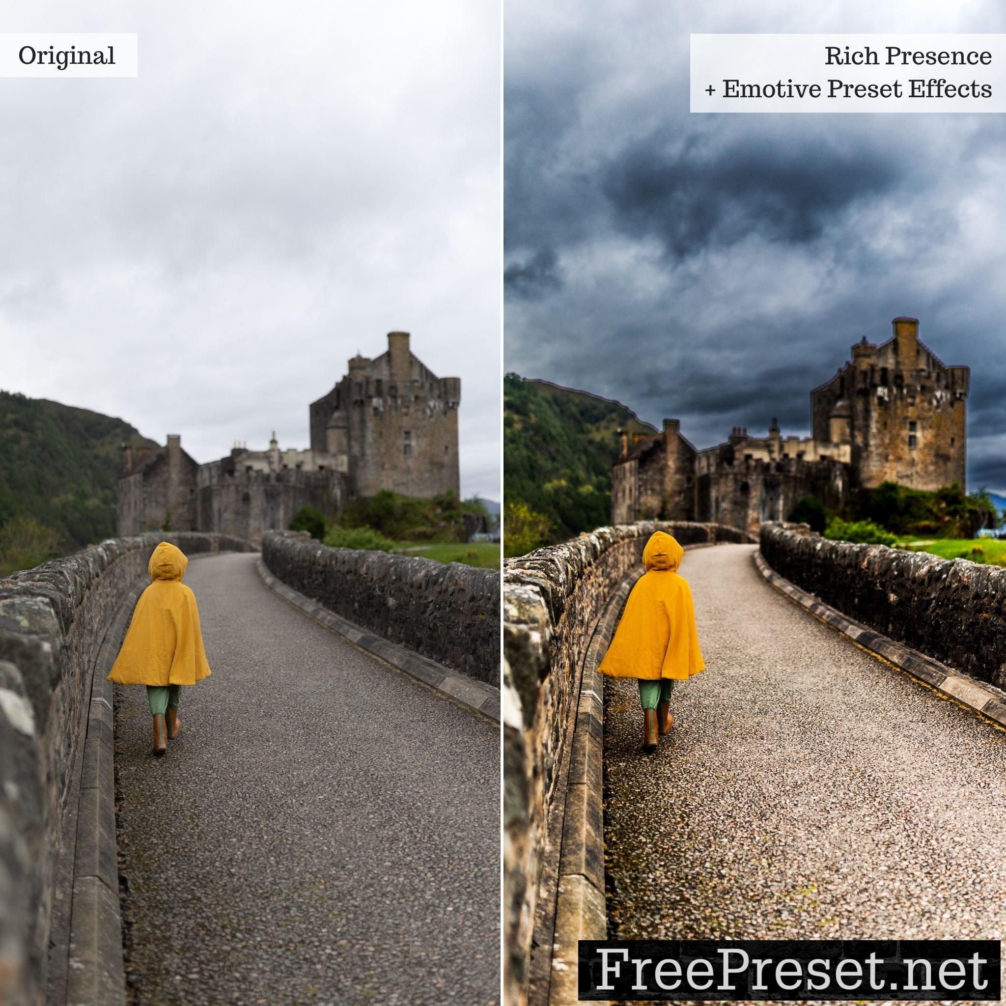 Emotive Lightroom Presets & AI Tools – Desktop & Mobile