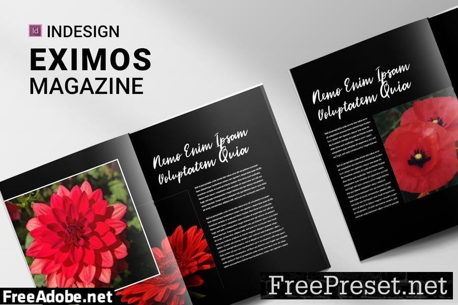 Eximos | Magazine