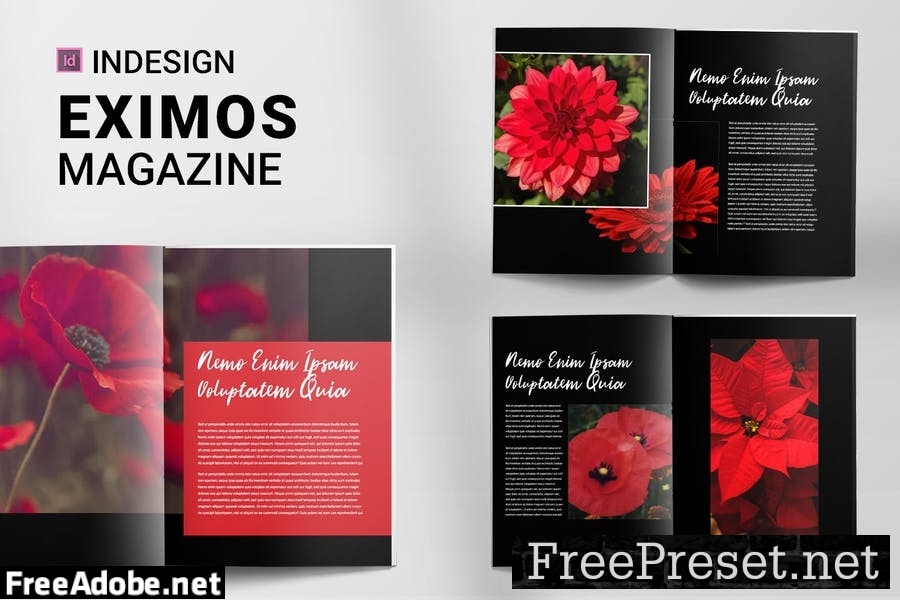 Eximos | Magazine