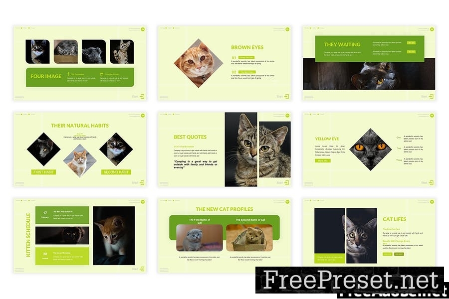 Fun Cat Presentation Template YNCCNEP