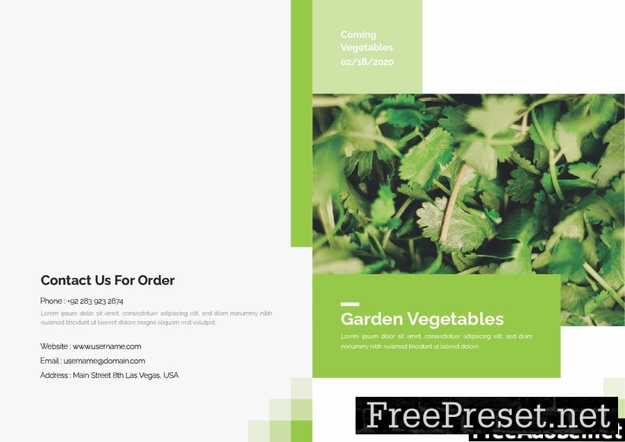 Garden Vegetables Brochure