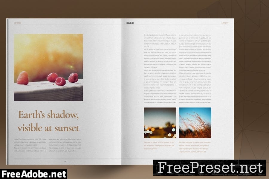 Gold Magazine Template