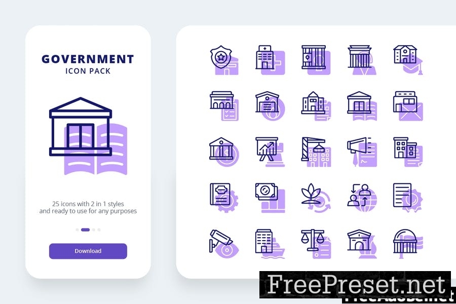 Government Icons (Line and Solid)