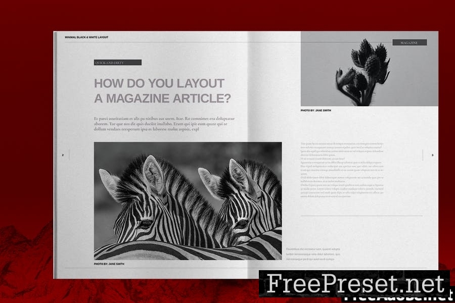 Grayscale Magazine Layout SKBM26C