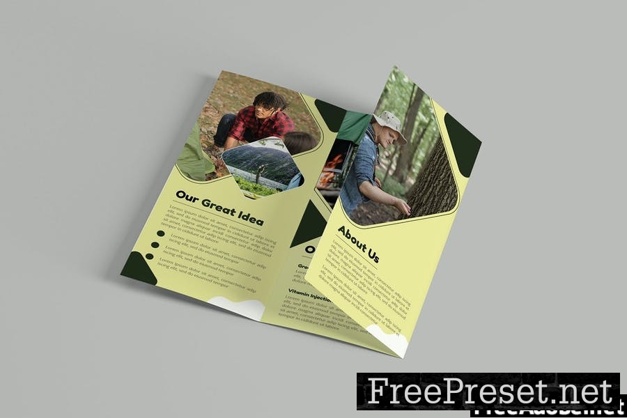 Great Summer | Trifold Brochure