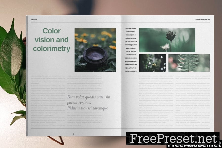 Green Natural Brochure Template