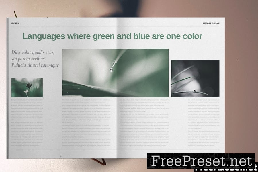 Green Natural Brochure Template