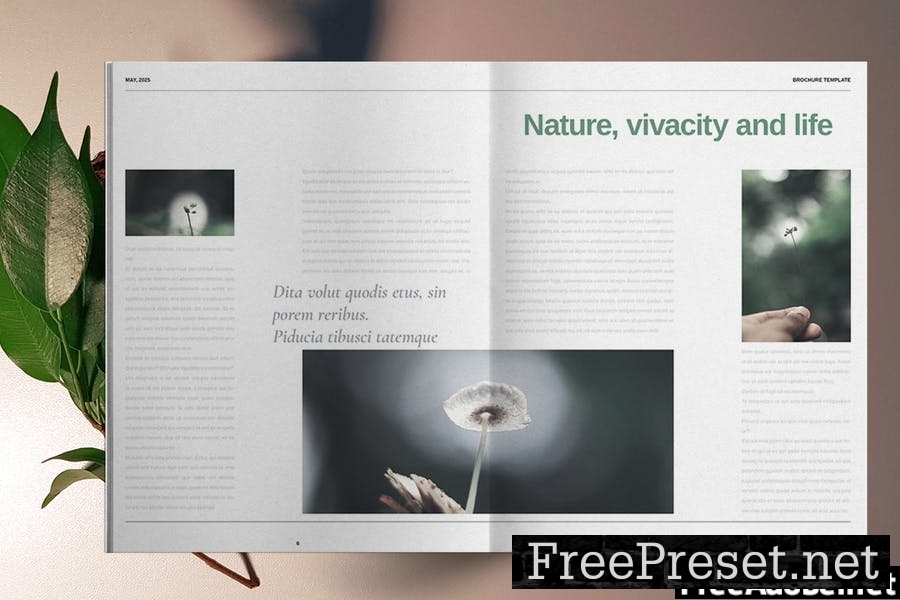 Green Natural Brochure Template