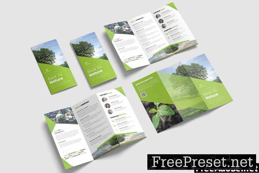 Green Nature Trifold Brochure