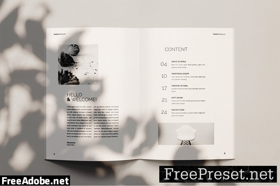 Hezel Nut - Magazine Template G7QVFA7