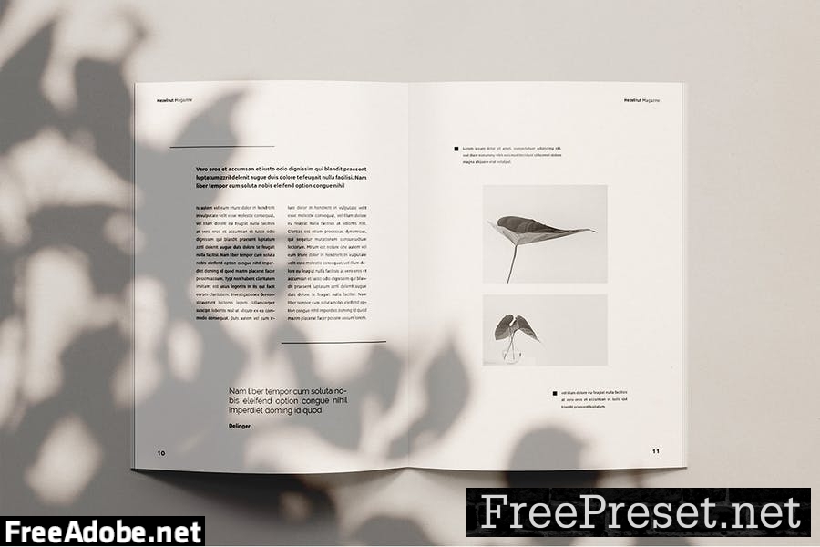 Hezel Nut - Magazine Template G7QVFA7