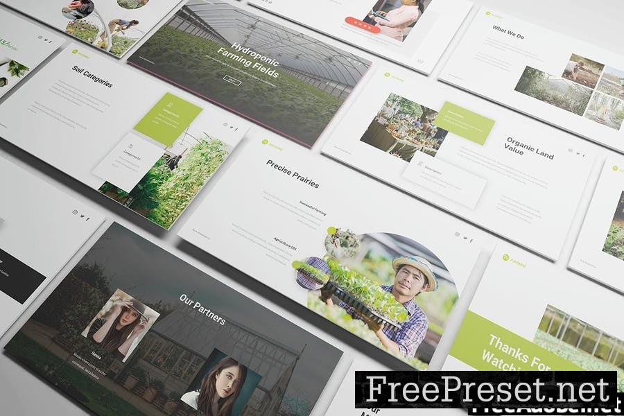 Hydroponic Powerpoint Presentation Template