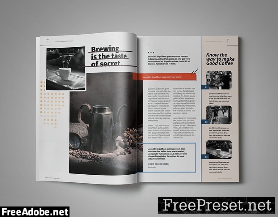 InDesign Magazine Template