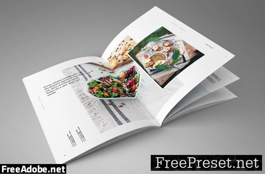 InDesign Magazine Template NGVW88