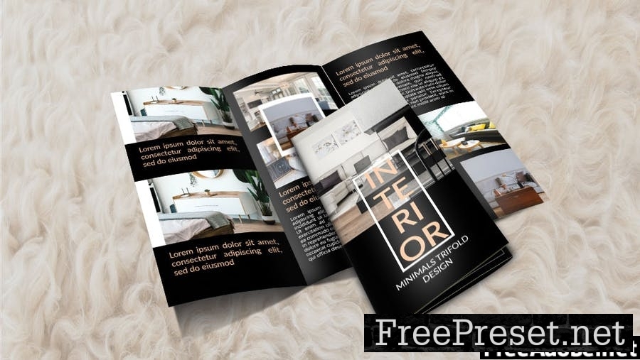 INTERIOR - Trifold Brochure Template