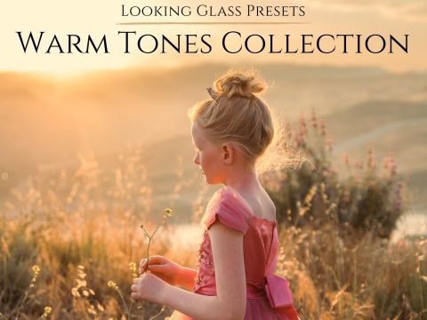 JessicaDrossin Looking Glass Presets: Warm Tones Collection