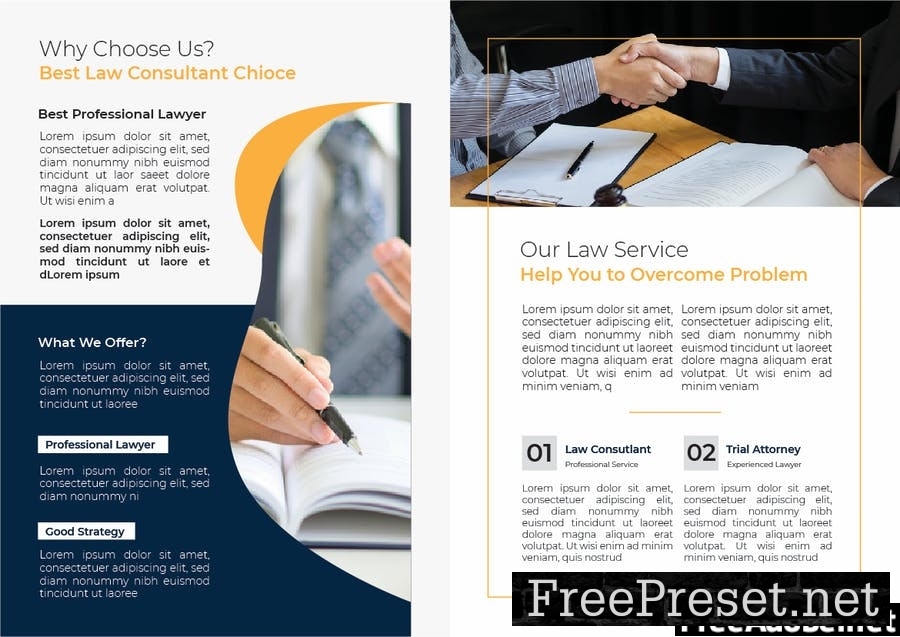 Law Consultant Brochure ZY9YX98