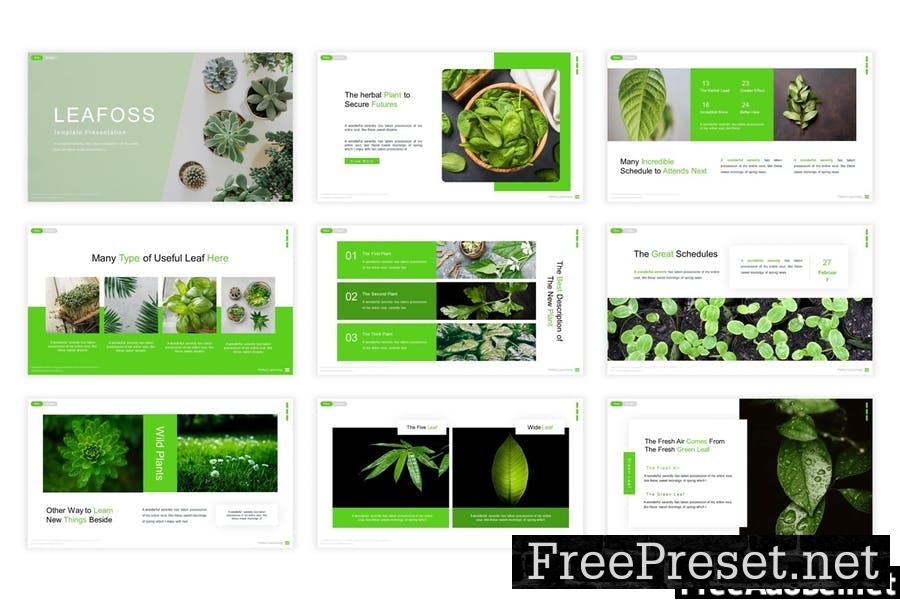 Leafoss Presentation Template