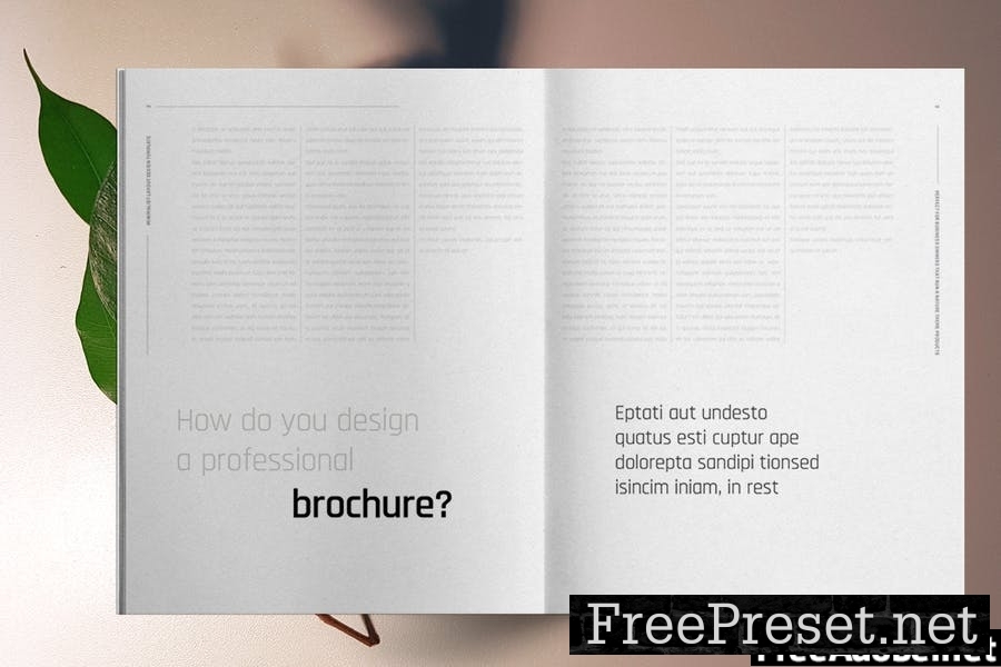 Lifestyle Brochure Template