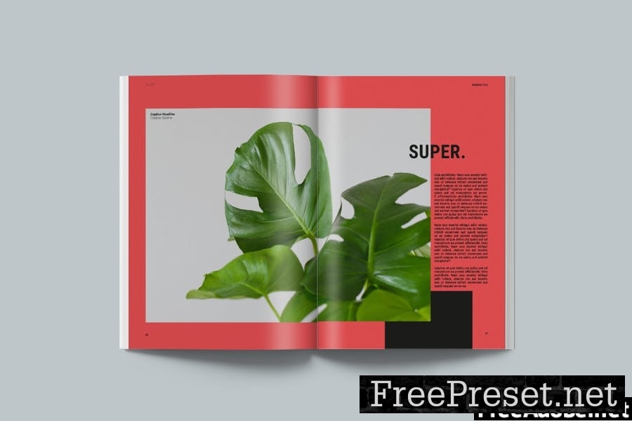 Magazine Template | Alias