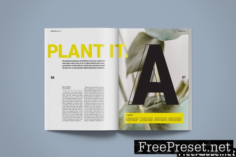 Magazine Template | Monstera