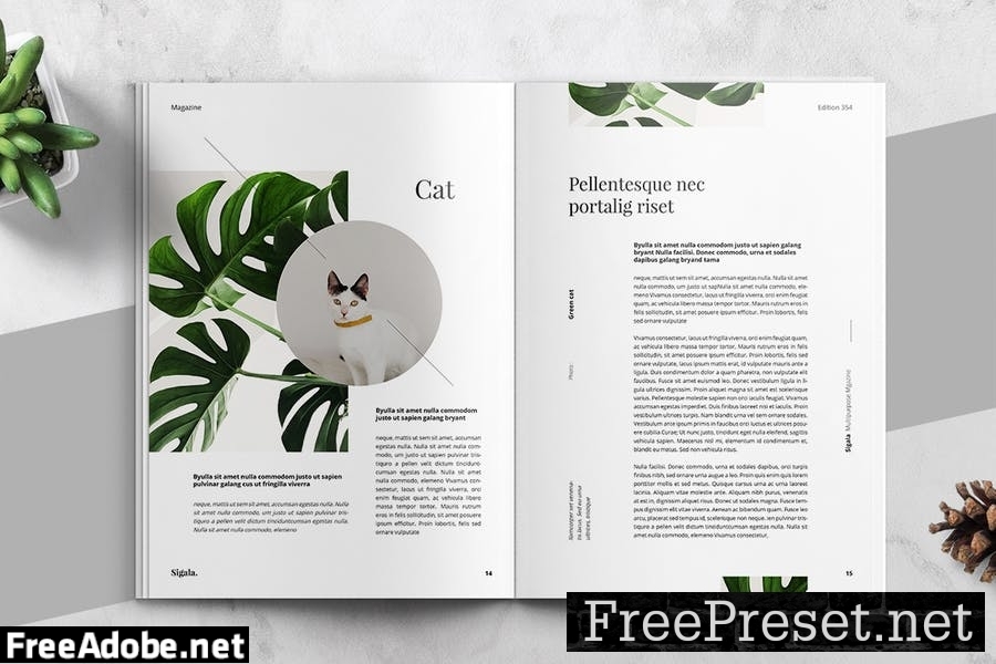 Minimal Magazine Template VXTZW3D